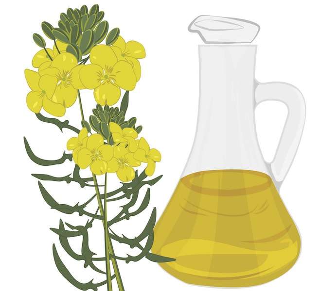 Vegetable oil